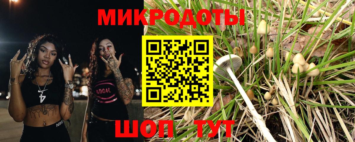 Галлюциногенные грибы мухоморы Фрязино