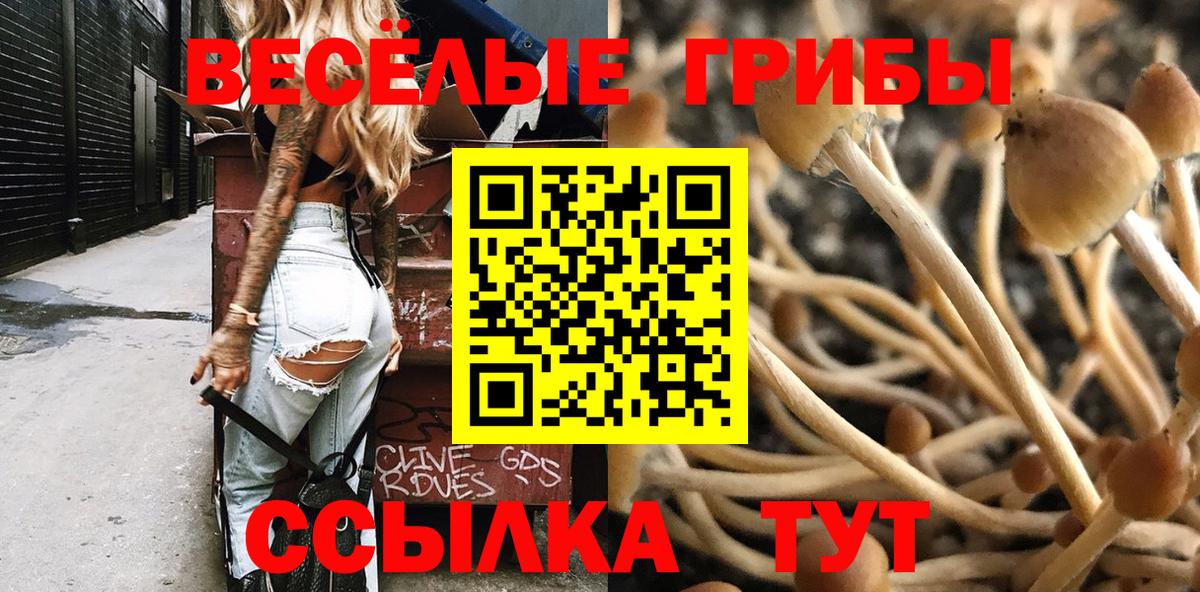 Фрязино  Псилоцибиновые грибы Psilocybe  Вход с VPN 